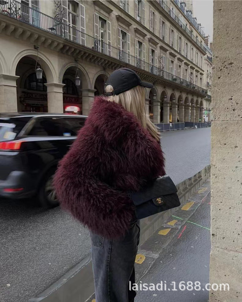 New European and American ladies fashion Joker environmental protection fur short coat